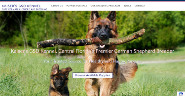Kaiser's GSD Kennel, Central, FL