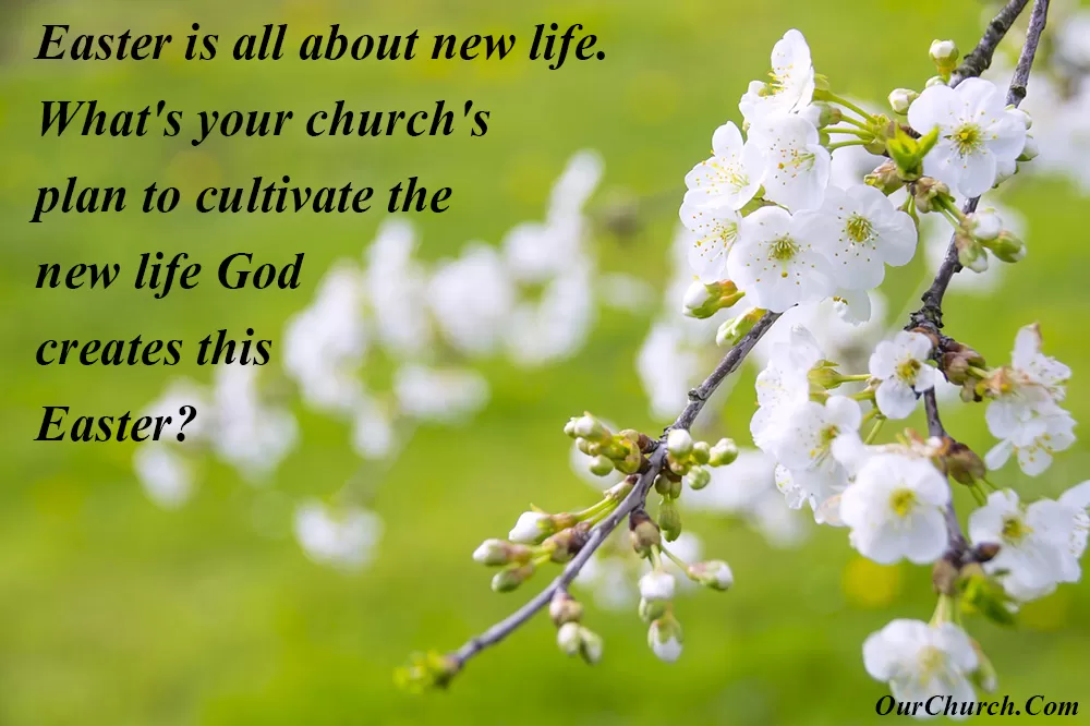 Easter is all about new life. What's your church's plan to cultivate the new life God creates this Easter?